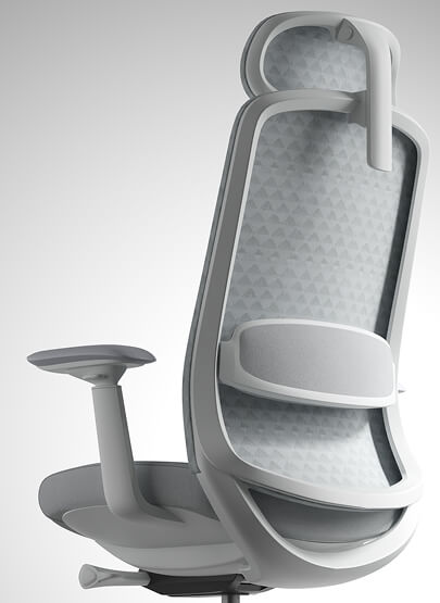 Polar Ergonomic Chair